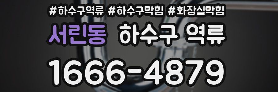 서린동 하수구 역류