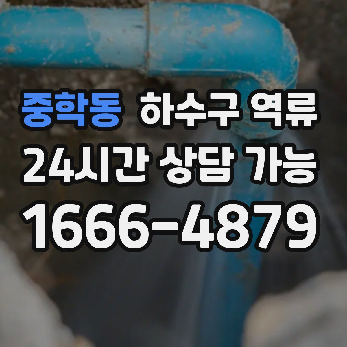 중학동 하수구 역류