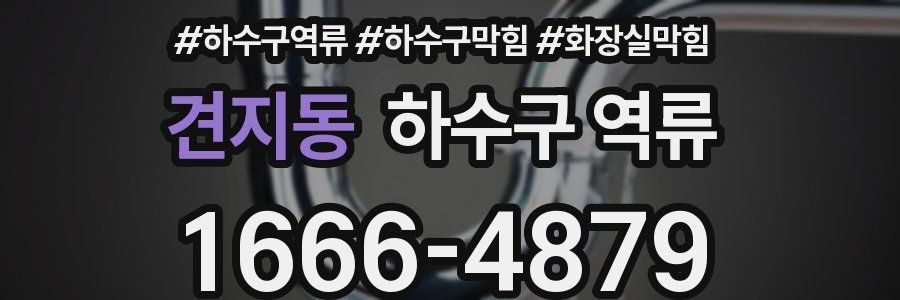 견지동 하수구 역류