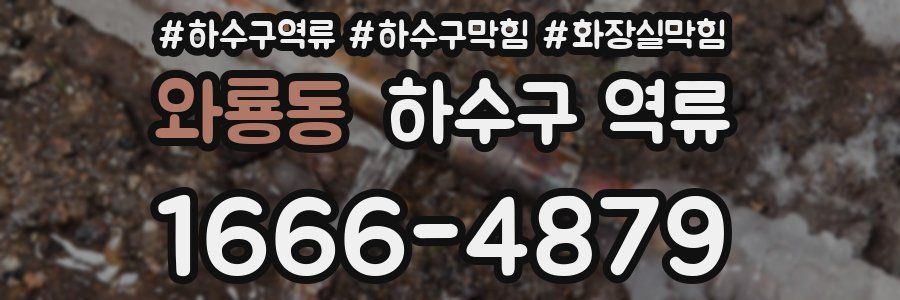 와룡동 하수구 역류