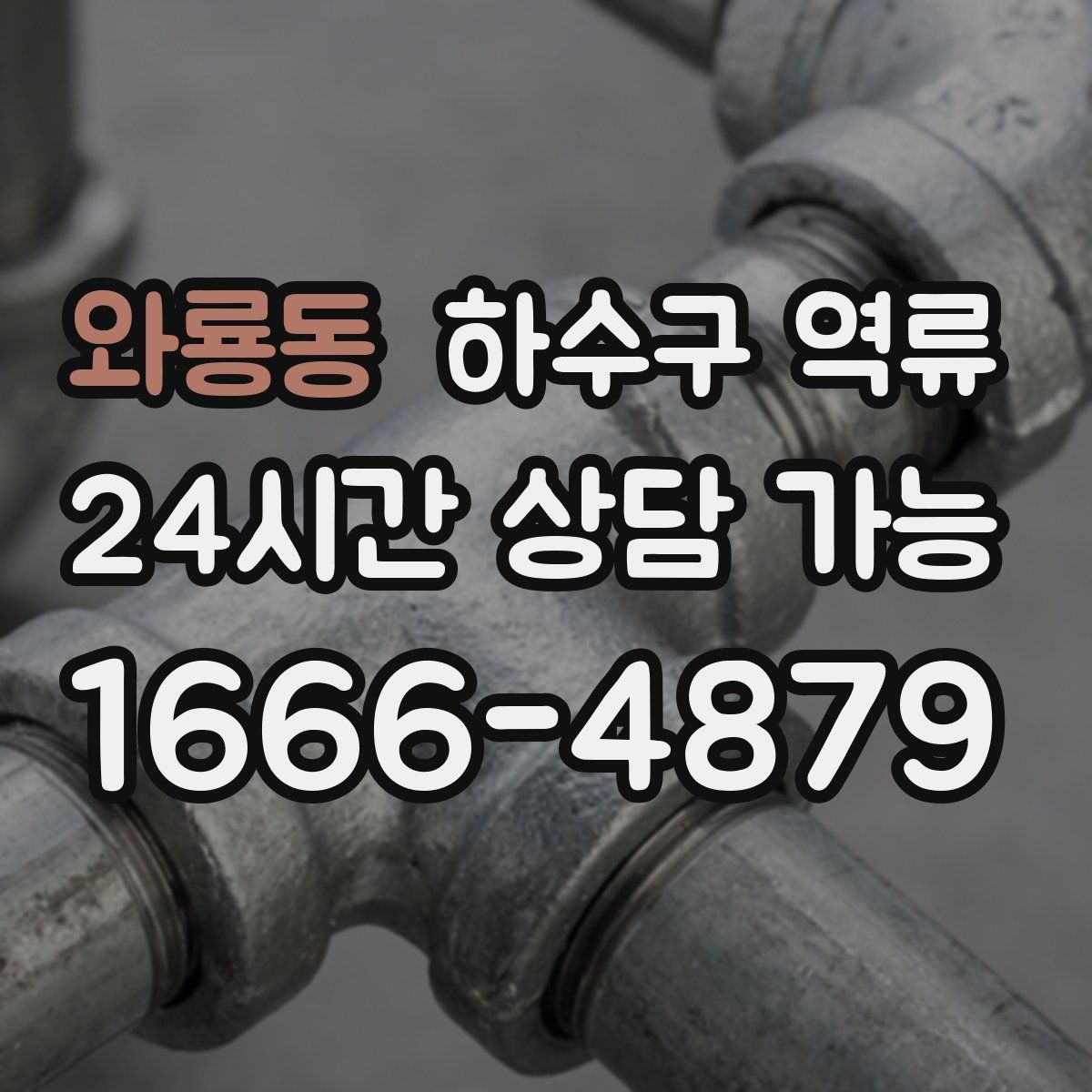 와룡동 하수구 역류