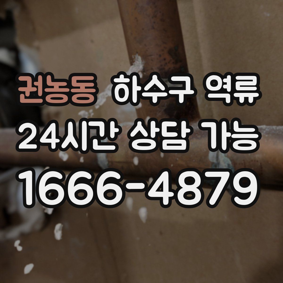 권농동 하수구 역류