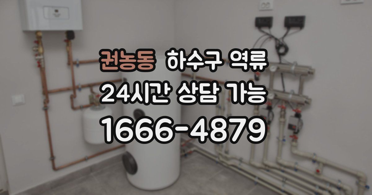 권농동 하수구 역류