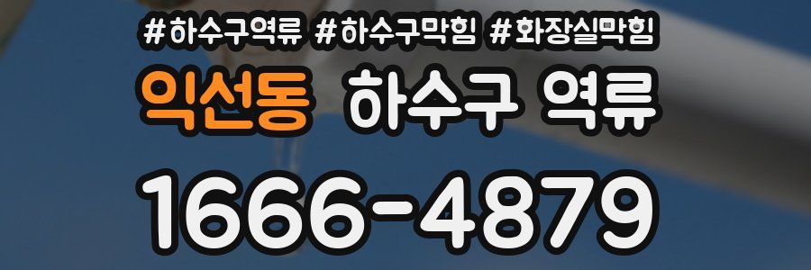 익선동 하수구 역류