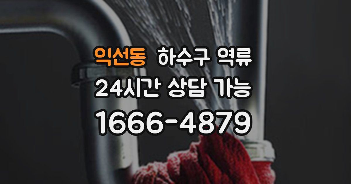 익선동 하수구 역류