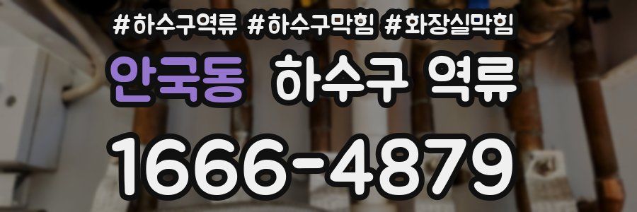 안국동 하수구 역류