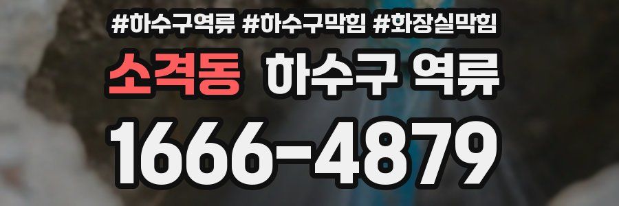 소격동 하수구 역류