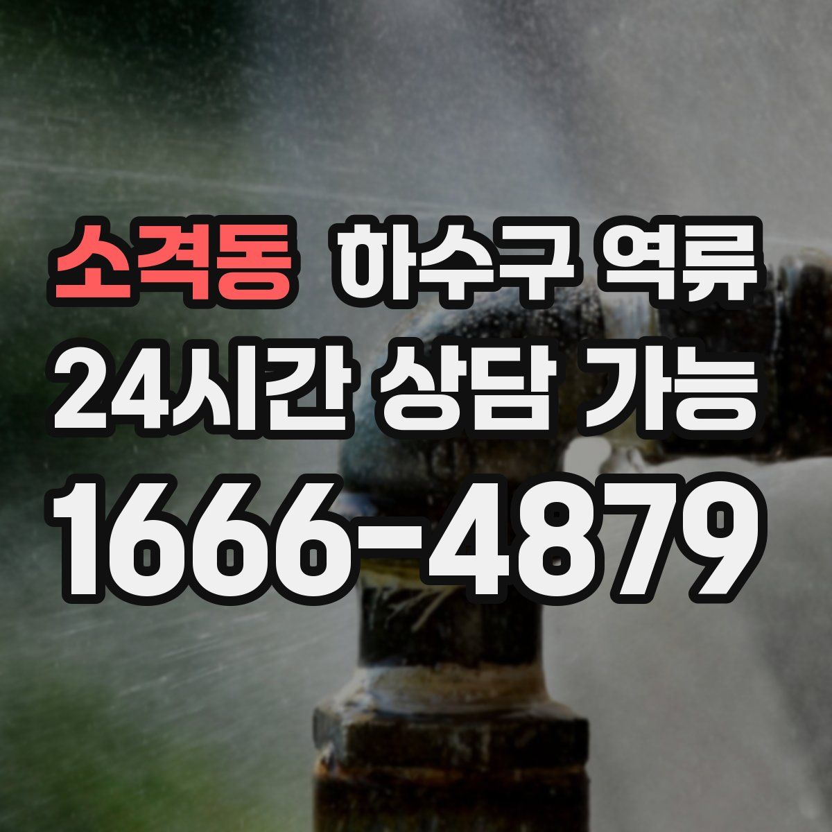 소격동 하수구 역류