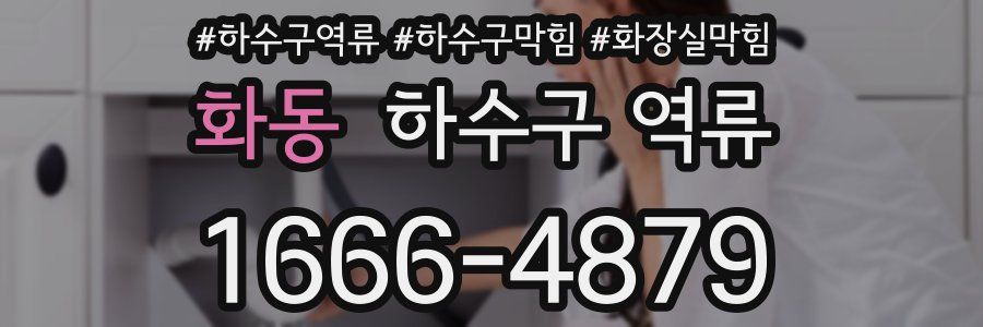 화동 하수구 역류