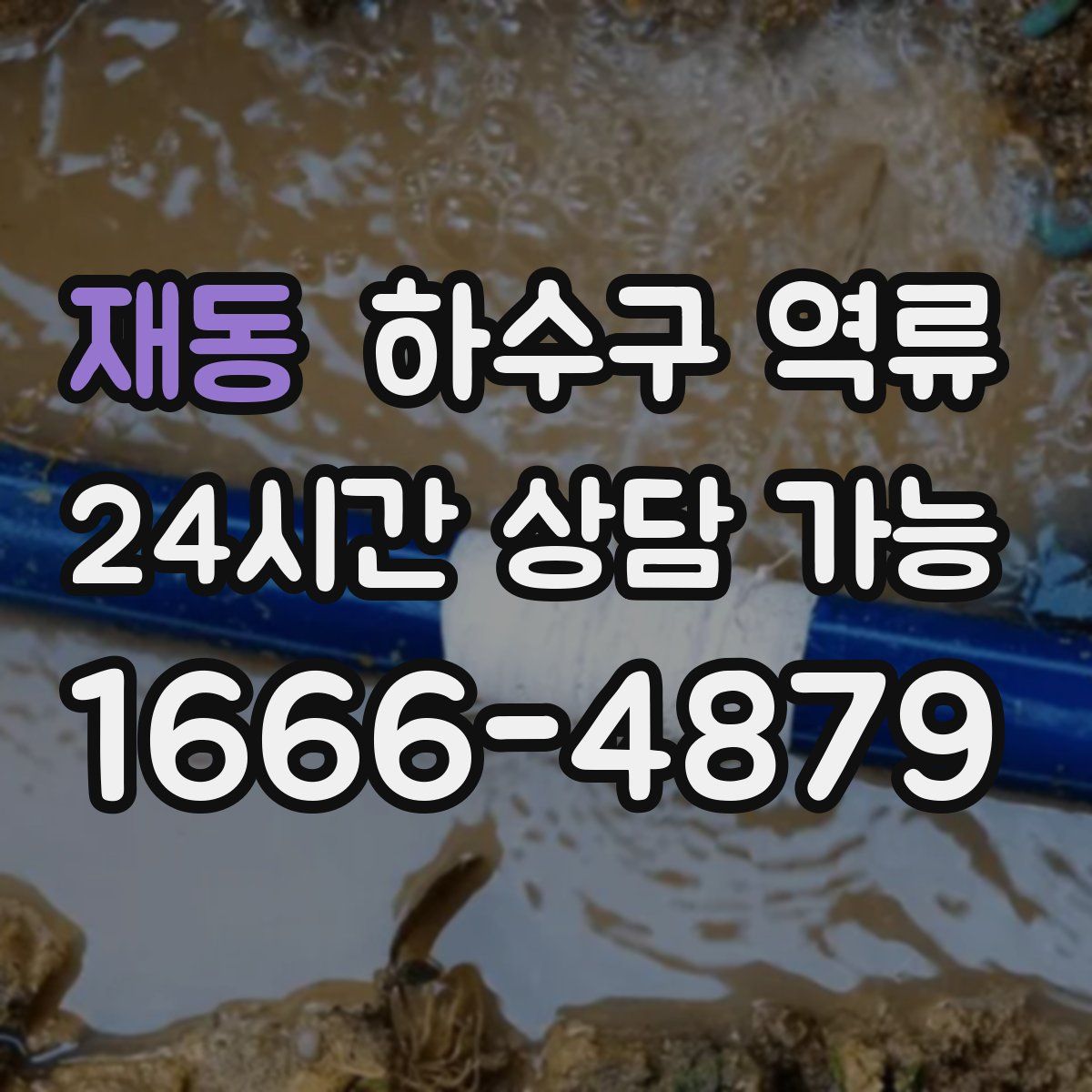 재동 하수구 역류