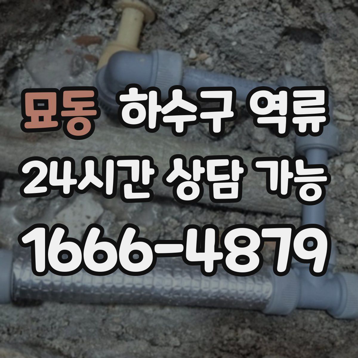 묘동 하수구 역류