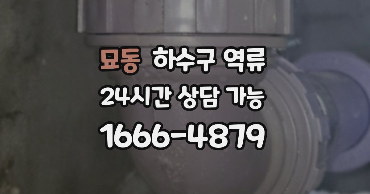 묘동 하수구 역류