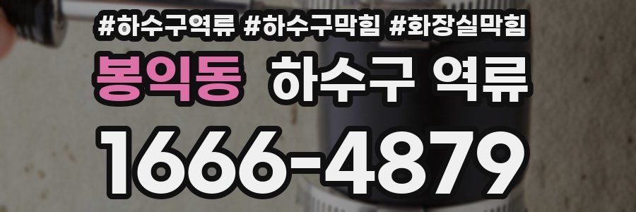 봉익동 하수구 역류