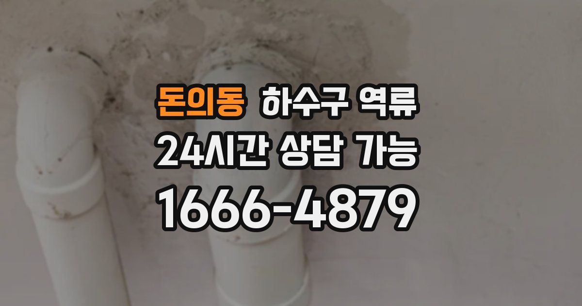 돈의동 하수구 역류