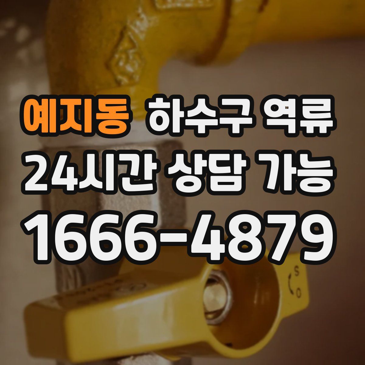 예지동 하수구 역류