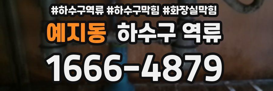 예지동 하수구 역류