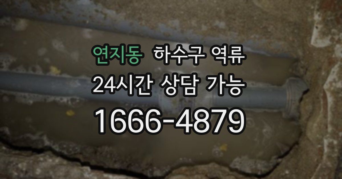 연지동 하수구 역류