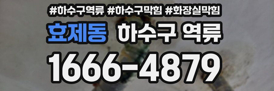 효제동 하수구 역류