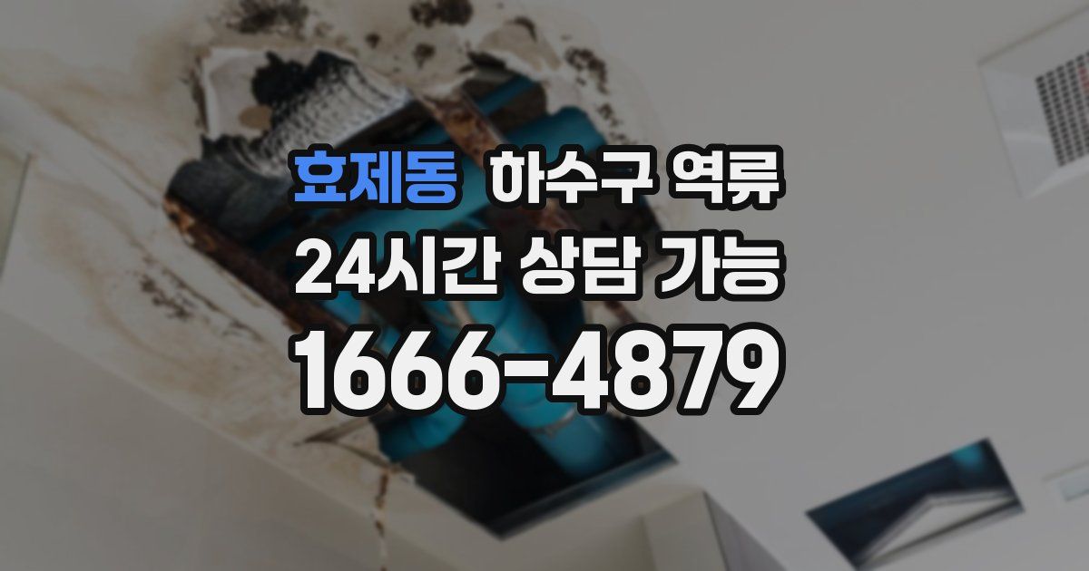 효제동 하수구 역류