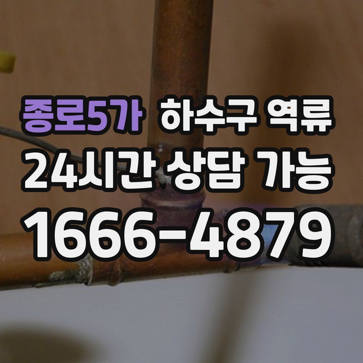 종로5가 하수구 역류