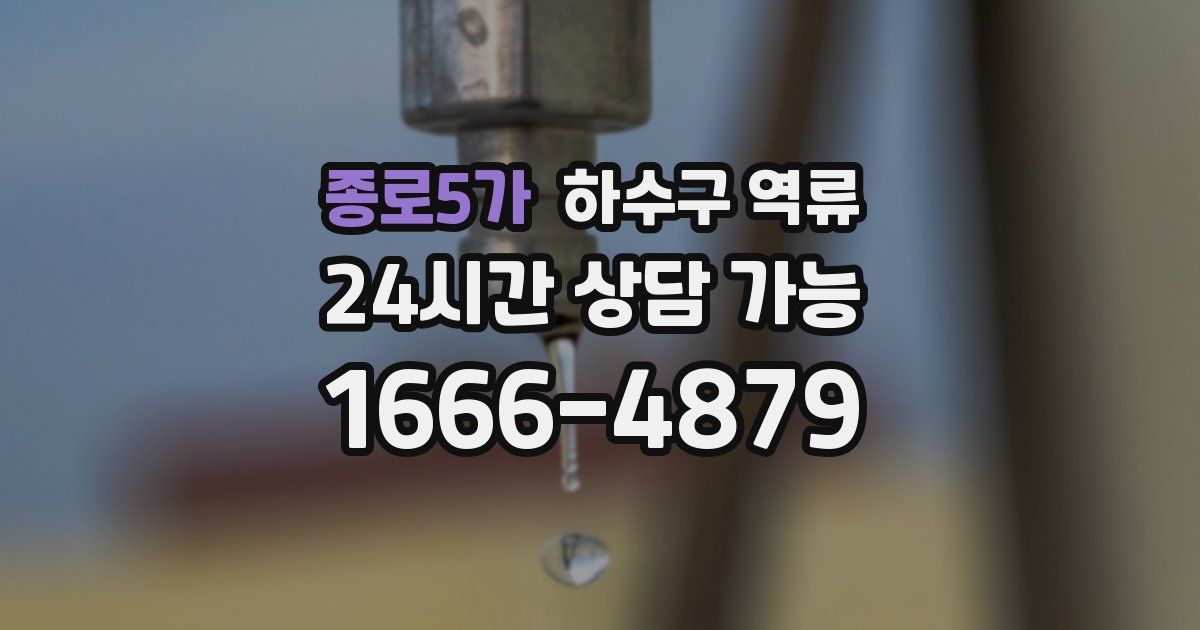 종로5가 하수구 역류