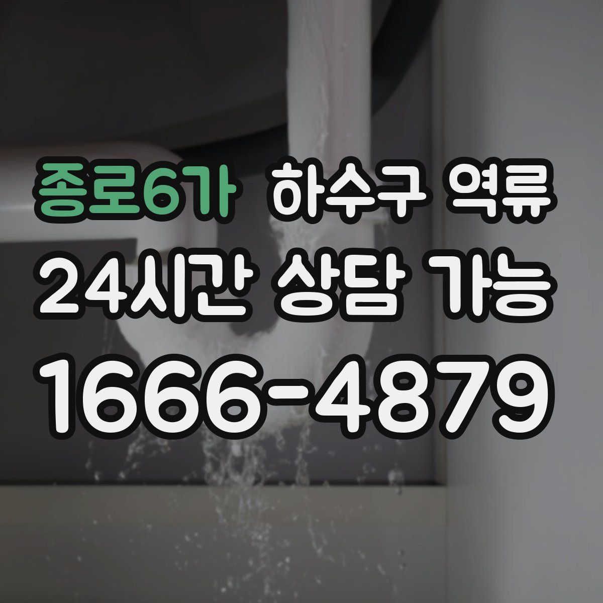 종로6가 하수구 역류