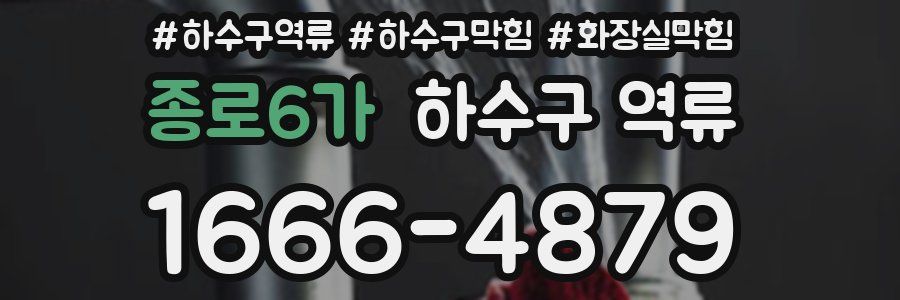 종로6가 하수구 역류