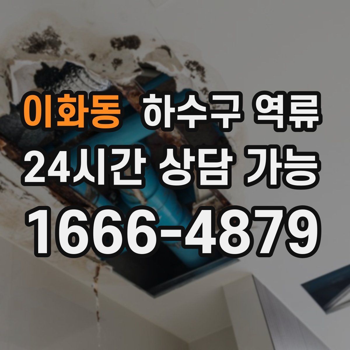 이화동 하수구 역류