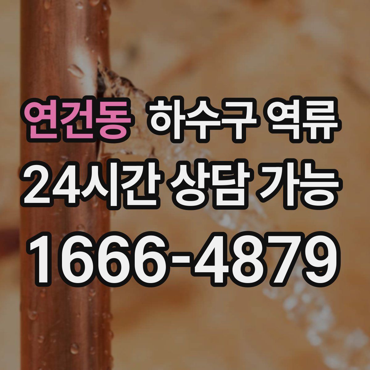 연건동 하수구 역류