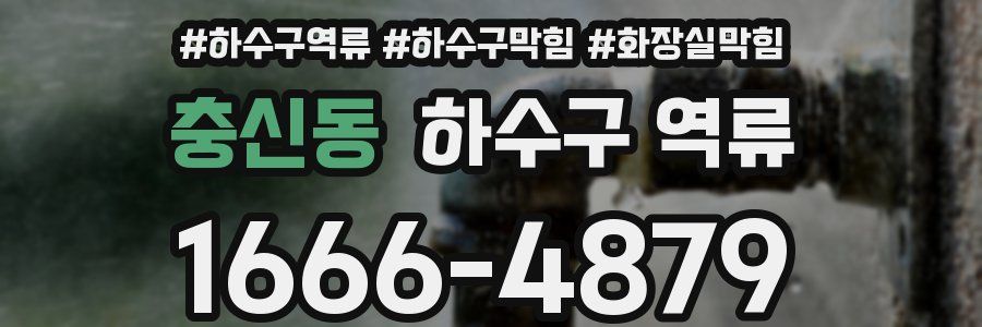 충신동 하수구 역류