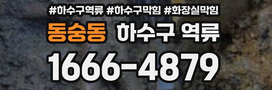 동숭동 하수구 역류