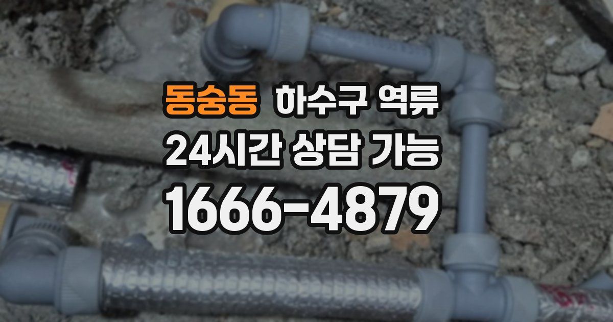 동숭동 하수구 역류