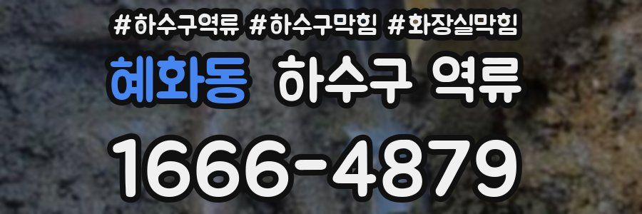 혜화동 하수구 역류