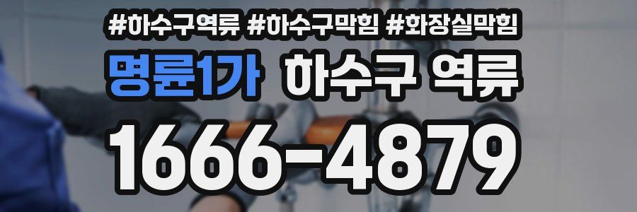 명륜1가 하수구 역류