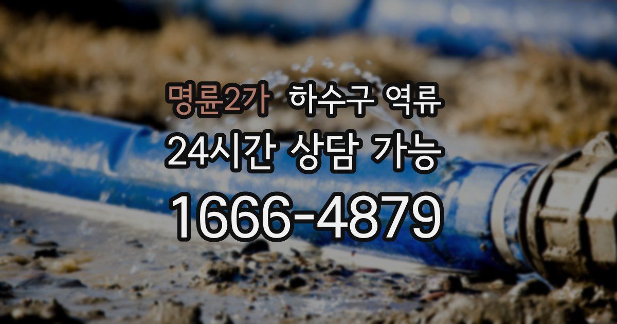 명륜2가 하수구 역류