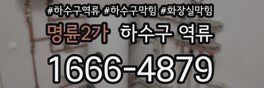 명륜2가 하수구 역류