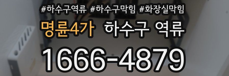 명륜4가 하수구 역류