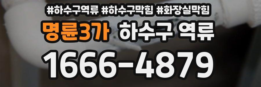 명륜3가 하수구 역류