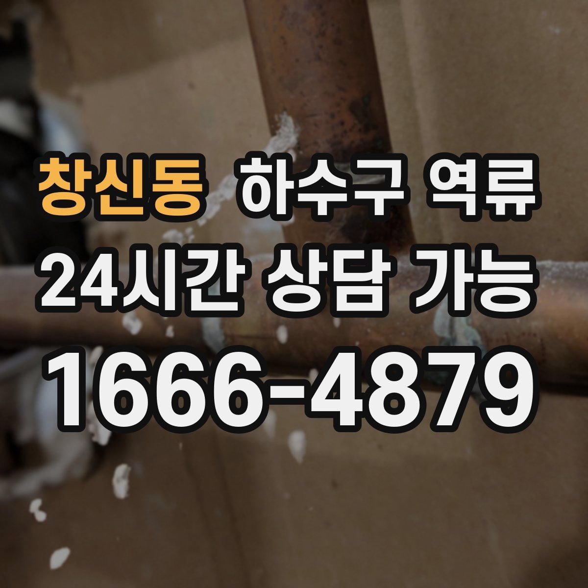 창신동 하수구 역류