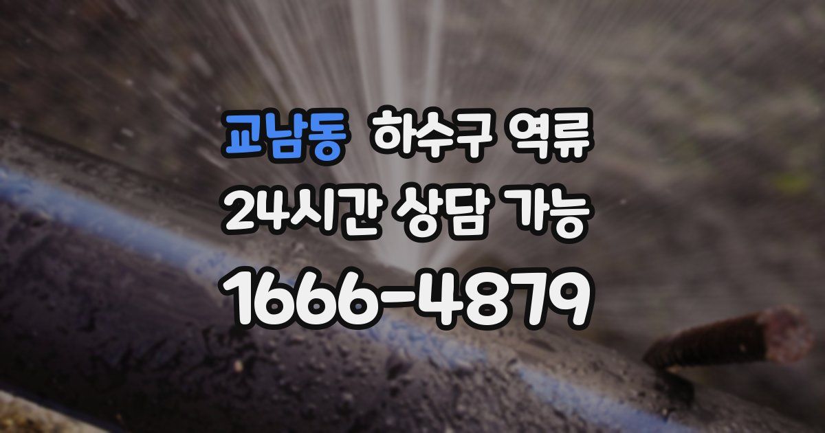 교남동 하수구 역류