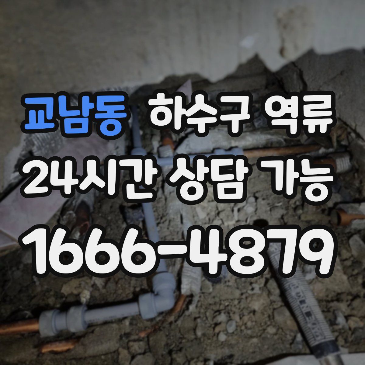 교남동 하수구 역류