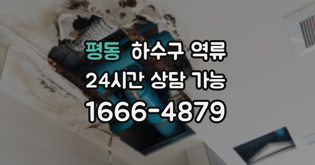 평동 하수구 역류