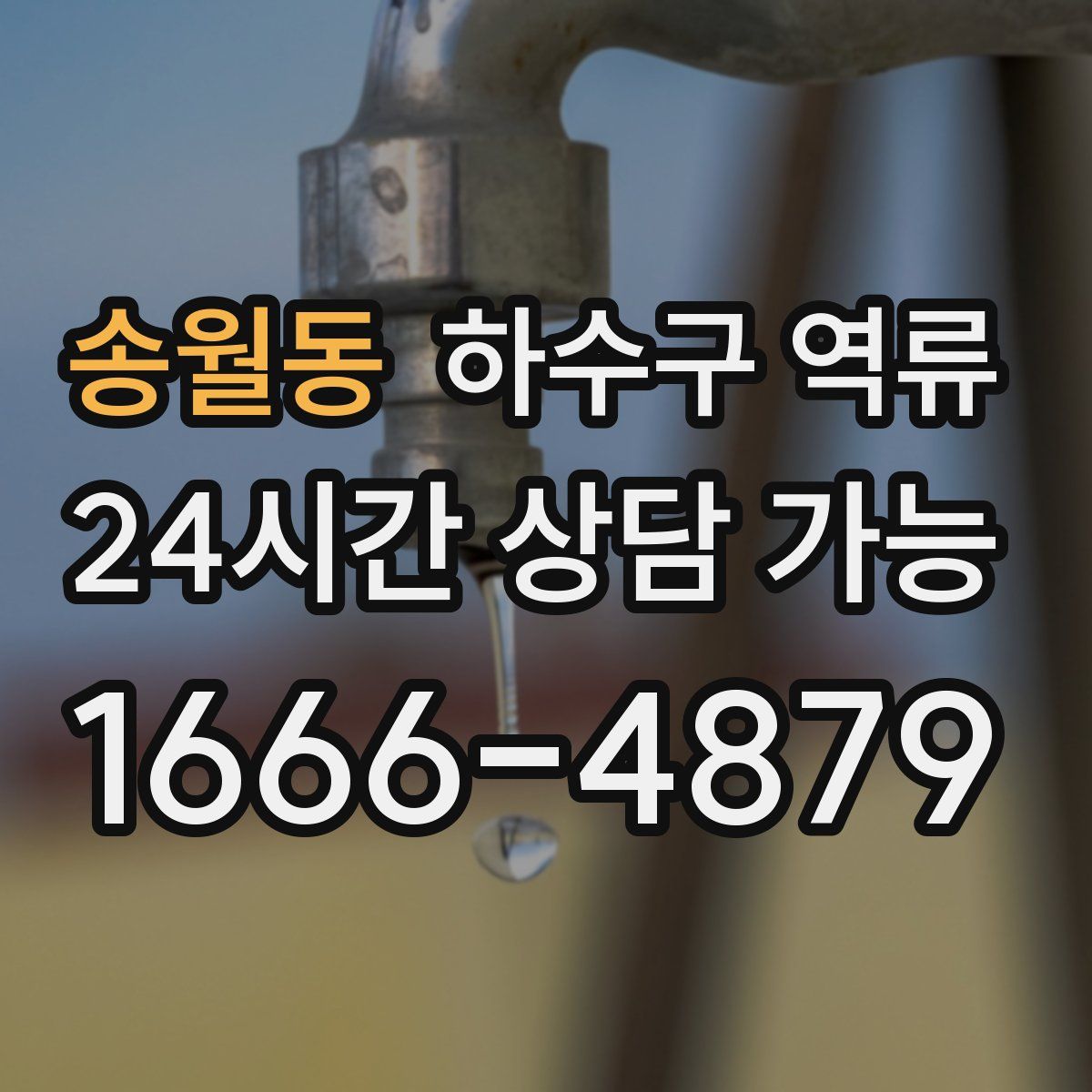 송월동 하수구 역류