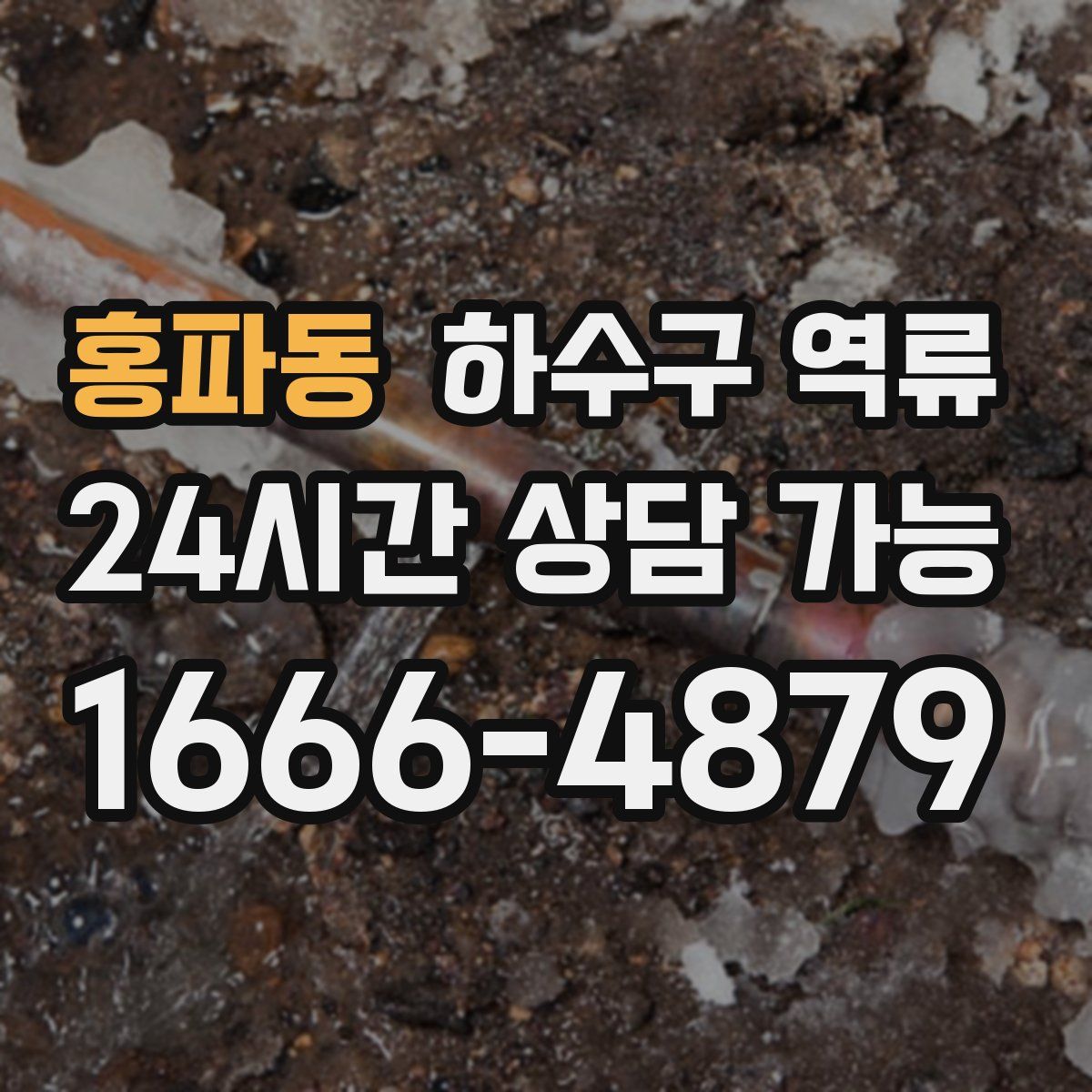 홍파동 하수구 역류