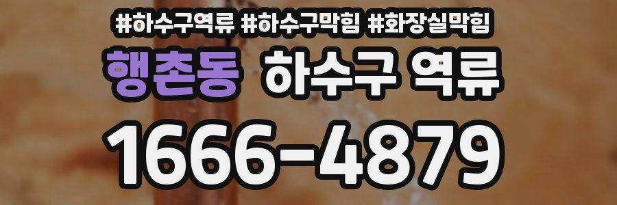 행촌동 하수구 역류