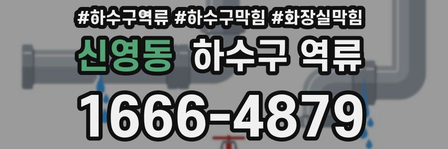 신영동 하수구 역류