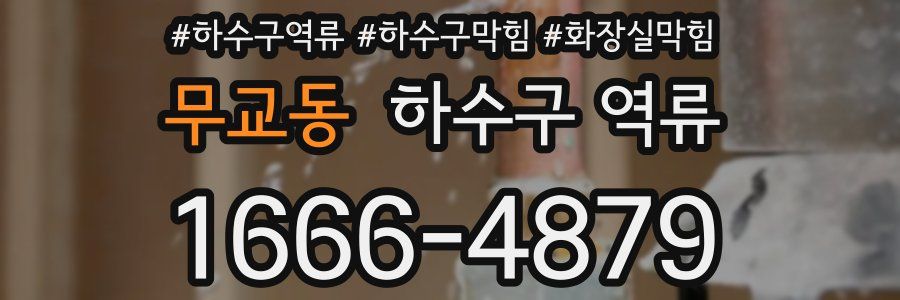 무교동 하수구 역류