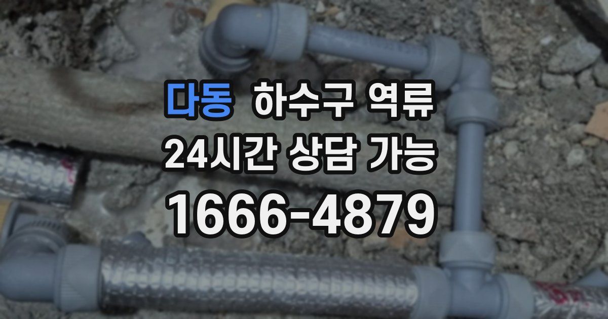 다동 하수구 역류