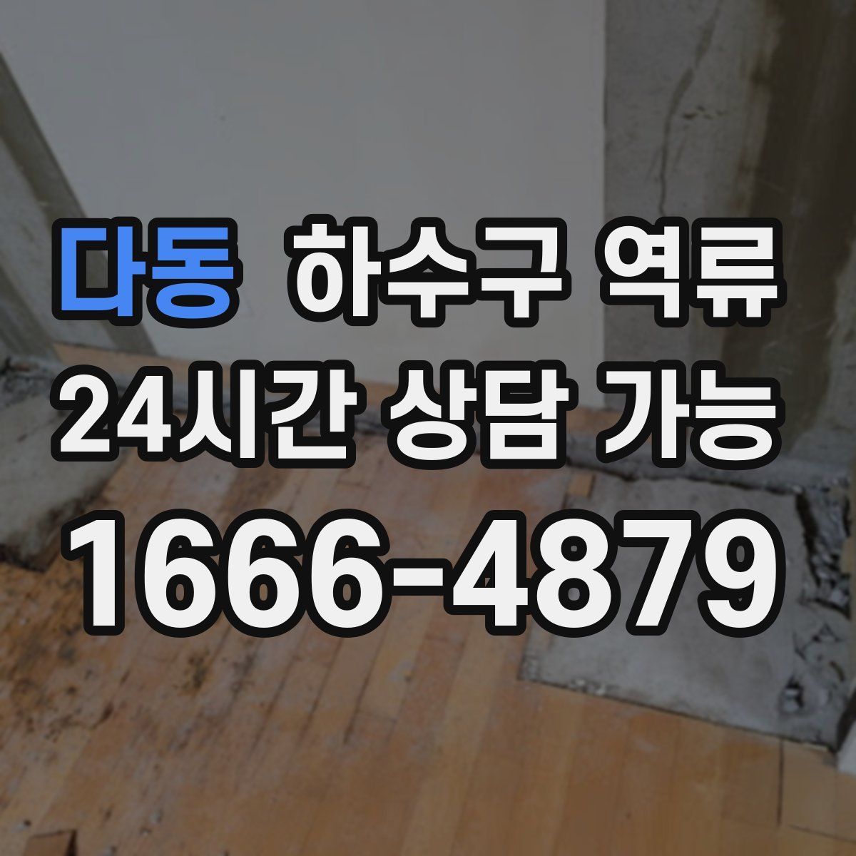 다동 하수구 역류