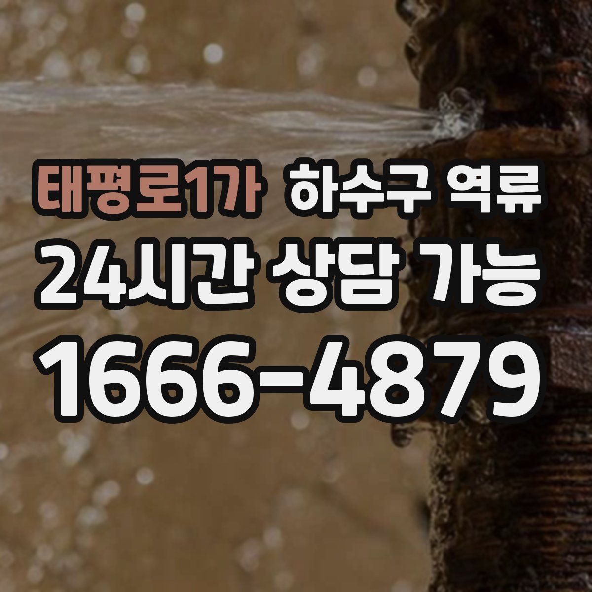 태평로1가 하수구 역류